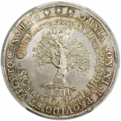 1666-cro23012343
