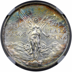 1921-kv11531